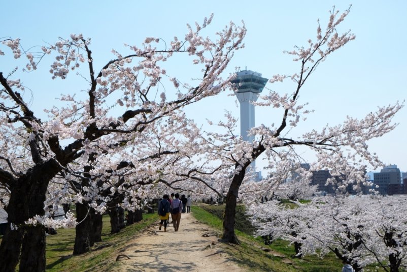 Goryokaku Park 3 Compressed