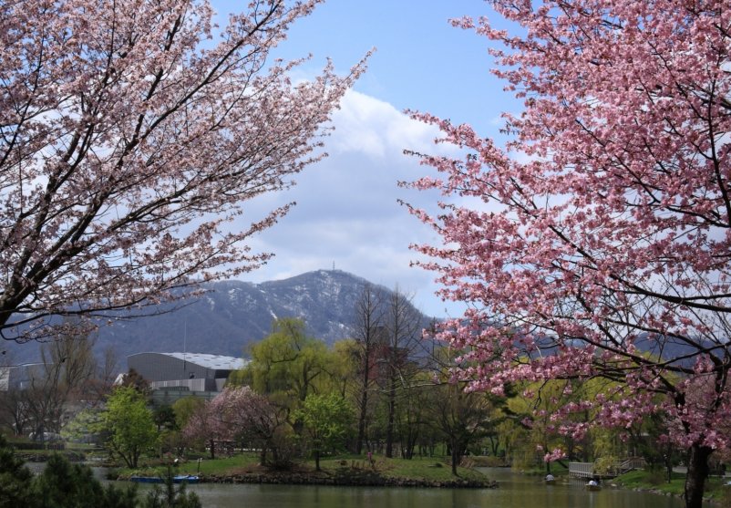 Mt Moiwa Big Compressed