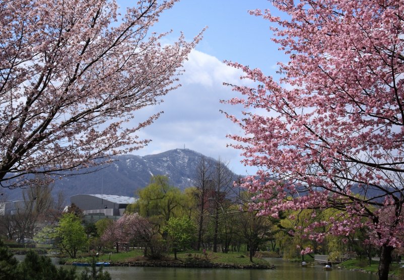 Mt Moiwa Big Compressed