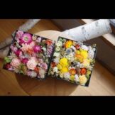 Bourgeon flower picture