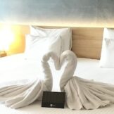 Towel Art Set Up